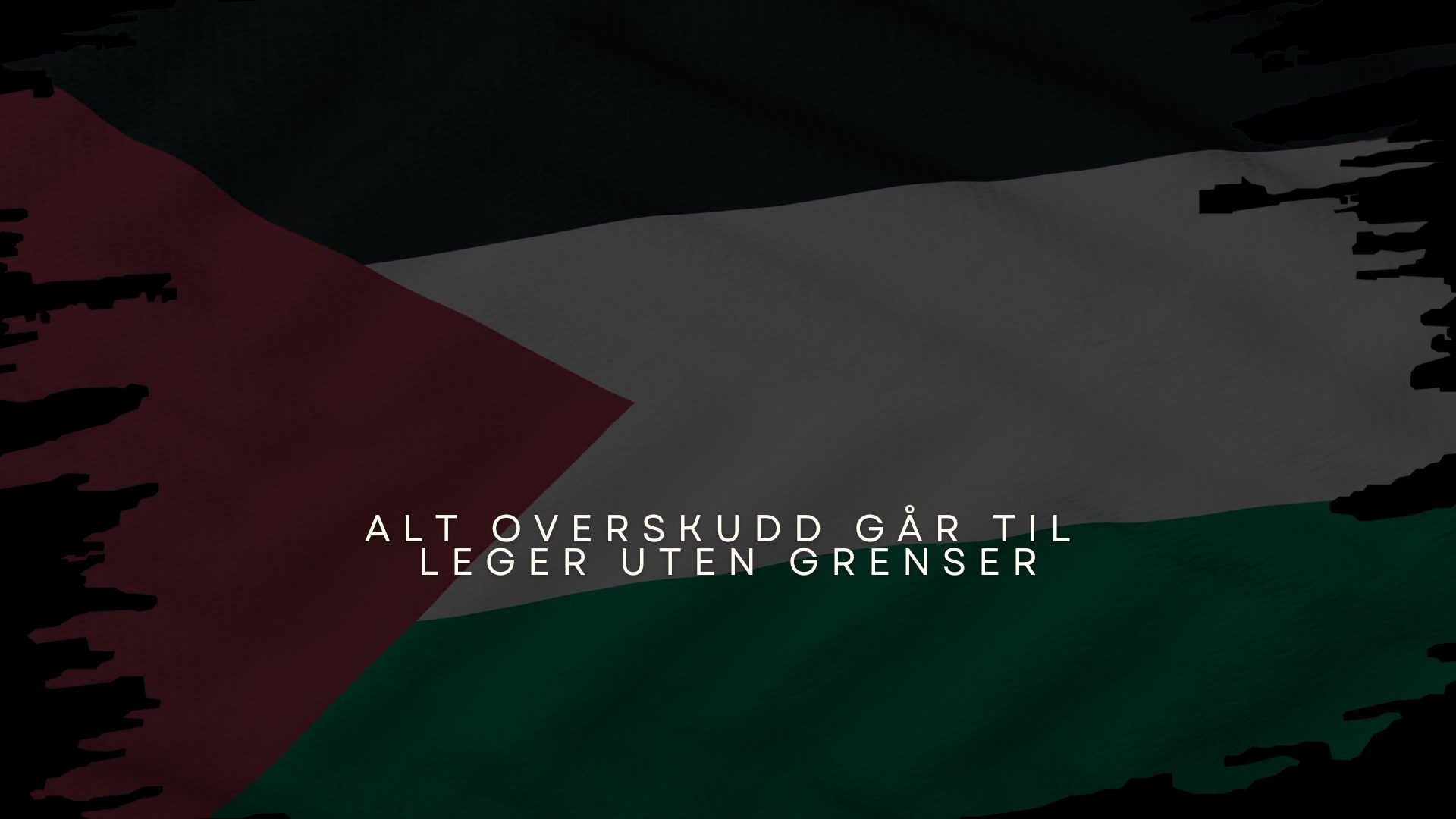 FLASH DAY FOR GAZA 2